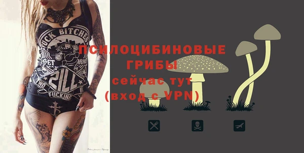 спайс Аркадак