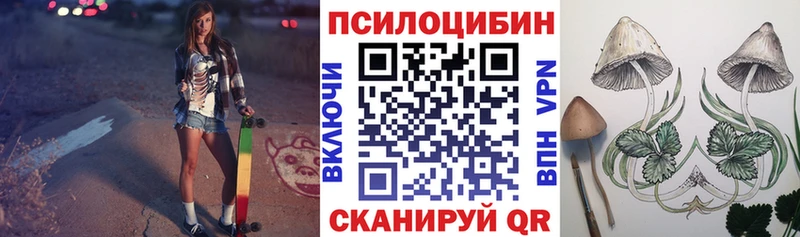 Псилоцибиновые грибы Psilocybine cubensis  Пустошка 